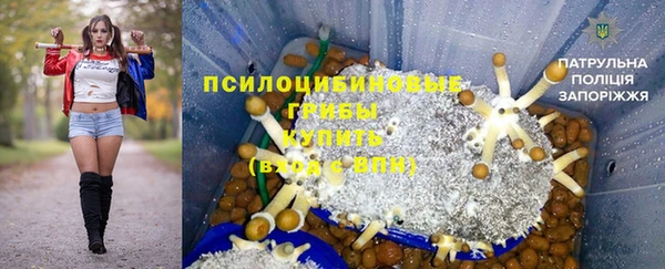 мет Белокуриха